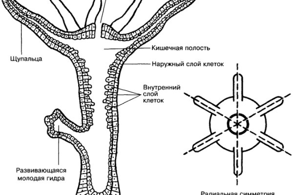 Реальные ссылки кракен
