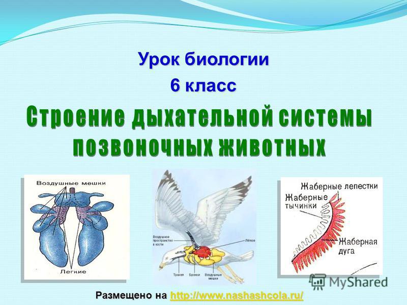 Кракен это современный даркнет маркет